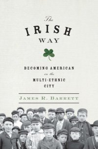 cover of the book The Irish way: becoming American in the multiethnic city