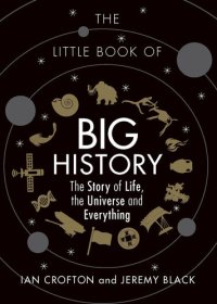 cover of the book The Little Book of Big History: The Story of Life, the Universe and Everything