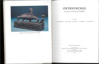 cover of the book Oxyrhynchus: A City and Its Texts