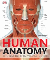 cover of the book Human Anatomy DK