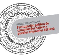 cover of the book Participación política de comunidades nativas y pueblos originarios del Perú. Módulo de capacitación