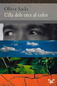 cover of the book L'illa dels cecs al color