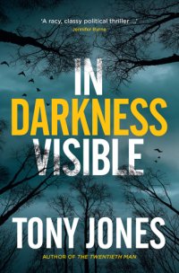 cover of the book In Darkness Visible