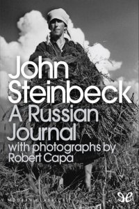 cover of the book A Russian Journal