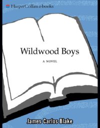 cover of the book Wildwood Boys