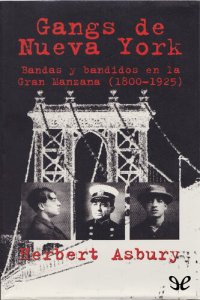 cover of the book Gangs de Nueva York