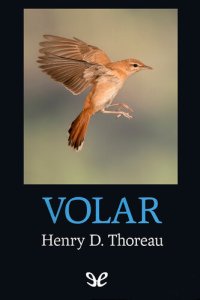 cover of the book Volar