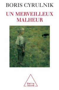 cover of the book Un merveilleux malheur