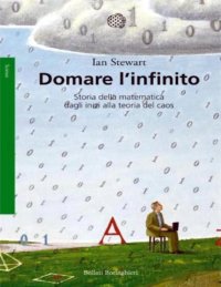 cover of the book Domare l'infinito: storia della matematica dagli inizi alla teoria del caos