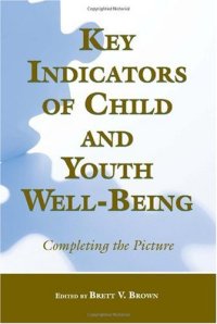 cover of the book Key Indicators of Child and Youth Well-Being: Completing the Picture