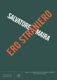 cover of the book Ero straniero