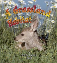 cover of the book A grassland habitat