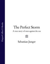 cover of the book The Perfect Storm