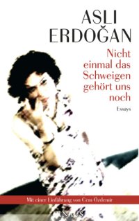 cover of the book Nicht einmal das Schweigen gehört uns noch Essays