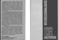 cover of the book interseccionalidade