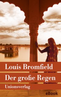 cover of the book Der große Regen