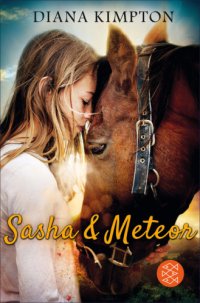 cover of the book Sasha & Meteor