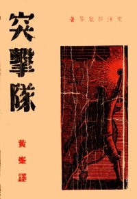 cover of the book 突擊隊