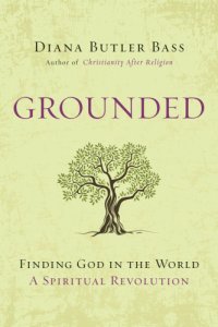 cover of the book Grounded: reconnecting the kingdom of heaven with our life on earth