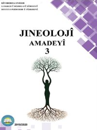 cover of the book Jineolojî. Amadeyî 3