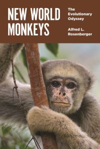 cover of the book New World Monkeys