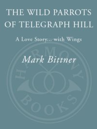 cover of the book The Wild Parrots of Telegraph Hill: a Love Story ... with Wings