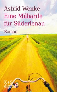 cover of the book Eine Milliarde für Süderlenau