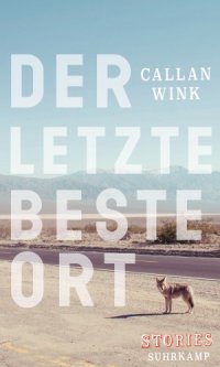 cover of the book Der letzte beste Ort Stories