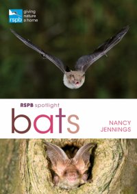 cover of the book RSPB Spotlight Bats