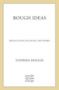 cover of the book Rough ideas: reflections on music and more