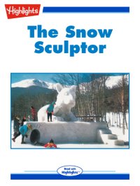 cover of the book The Snow Sculptor