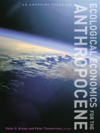 cover of the book Ecological economics for the anthropocene: an emerging paradigm