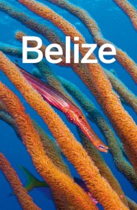 cover of the book Belize Travel Guide