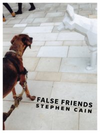 cover of the book False Friends