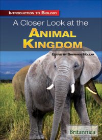 cover of the book Introduction to Biology: A Closer Look at the Animal Kingdom: Sherman Hollar