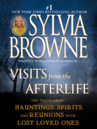 cover of the book Visits from the Afterlife