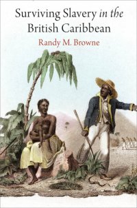 cover of the book Surviving Slavery in the British Caribbean