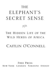 cover of the book The elephant's secret sense: the hidden life of the wild herds of africa