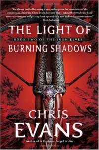 cover of the book The Light of Burning Shadows