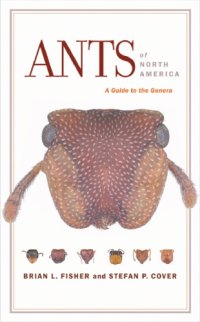 cover of the book Ants of North America: a guide to the genera