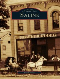 cover of the book Saline