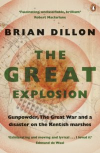 cover of the book The great explosion: gunpowder, the Great War, and the disaster on the Kent marshes