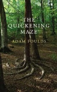 cover of the book The Quickening Maze