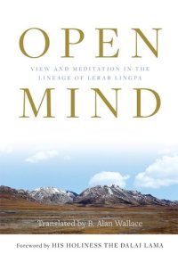 cover of the book Open mind: view and meditation in the lineage of lerab linga