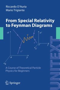 cover of the book From special relativity to feynman diagrams: introduction to special relativity and to classical and quantum field theory