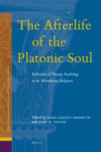 cover of the book The afterlife of the platonic soul: Reflections of platonic psychology in the monotheistic religions