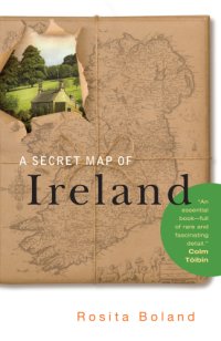 cover of the book A Secret Map of Ireland