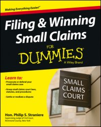 cover of the book Filing & winning small claims for dummies