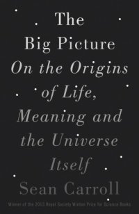 cover of the book The big picture: on the origins of life, meaning, and the universe itself