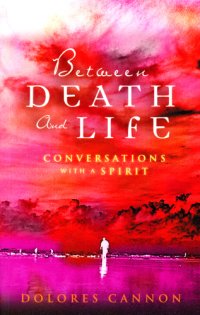 cover of the book Between death and life: conversations with a spirit